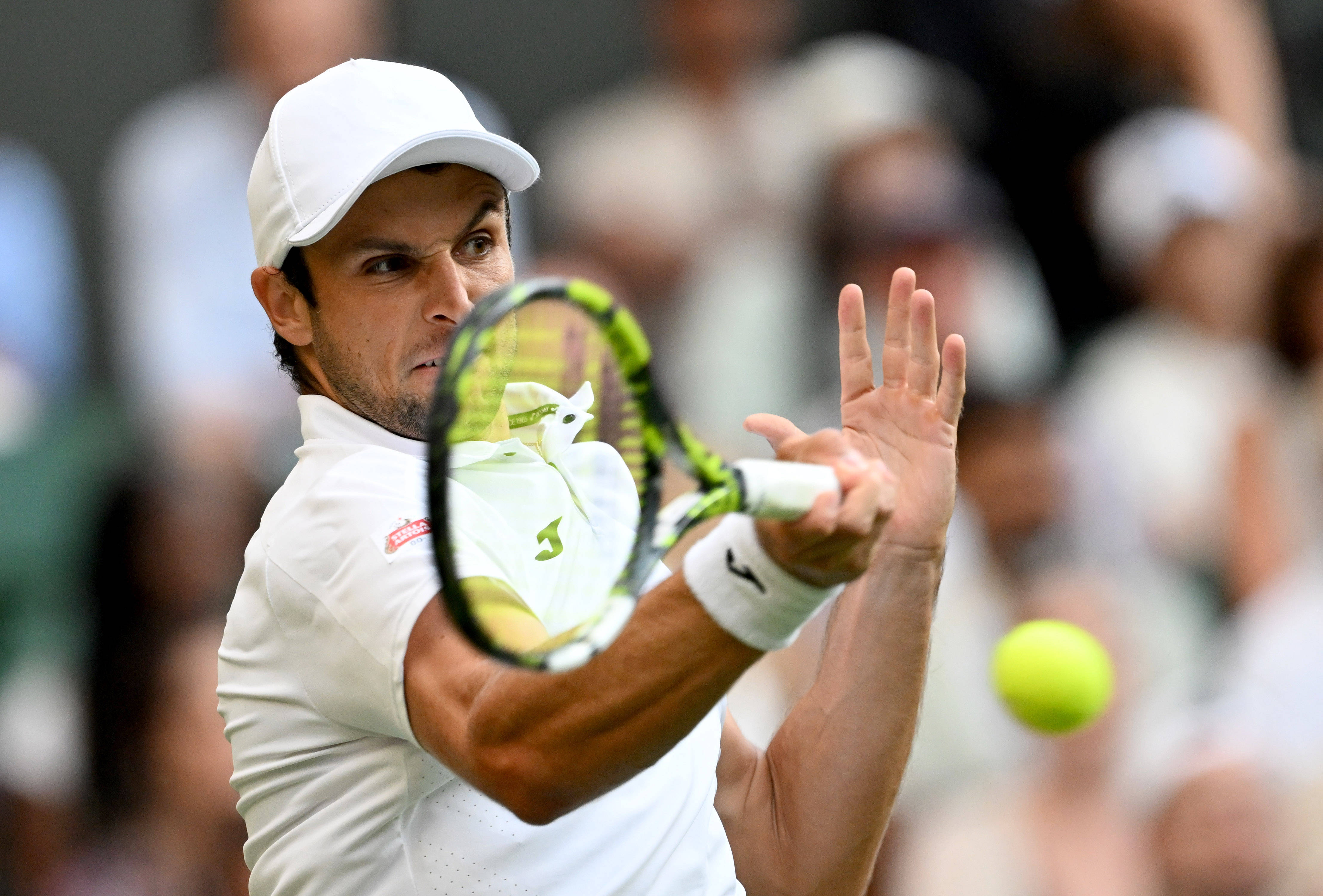 ATP总决赛轻取温网,辛纳关键制胜 ATP总决赛轻取温网,辛纳关键制胜