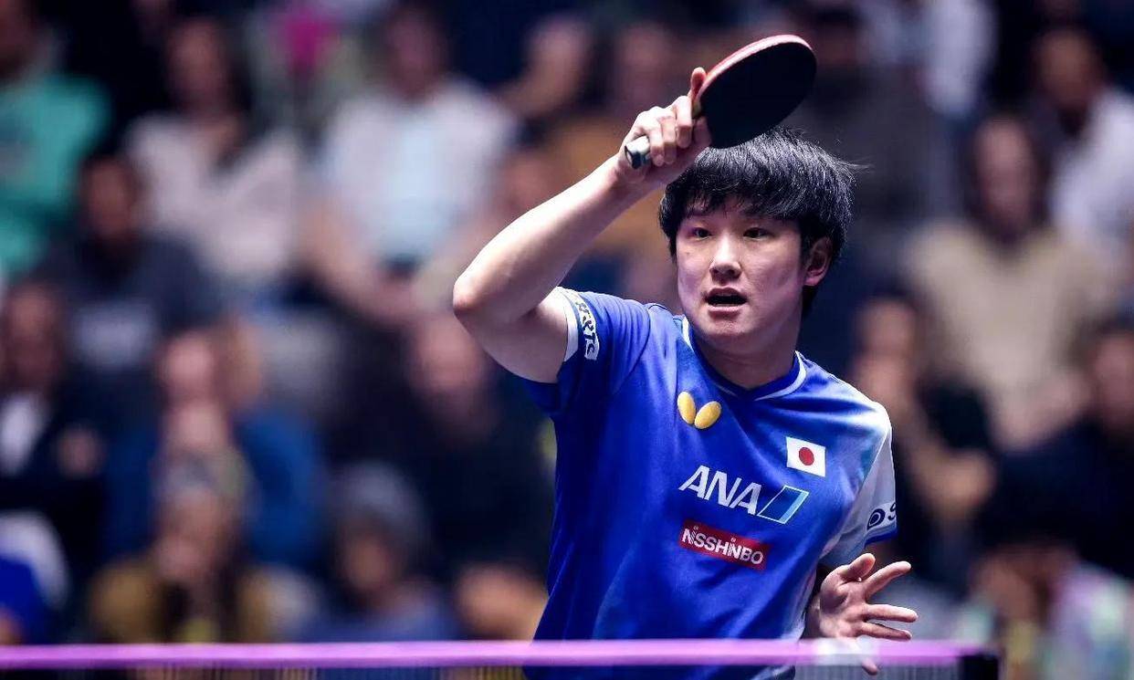 波兰乒乓球队绝地反击韩国乒乓球队,张本智和送出助攻 波兰乒乓球队绝地反击韩国乒乓球队,张本智和送出助攻