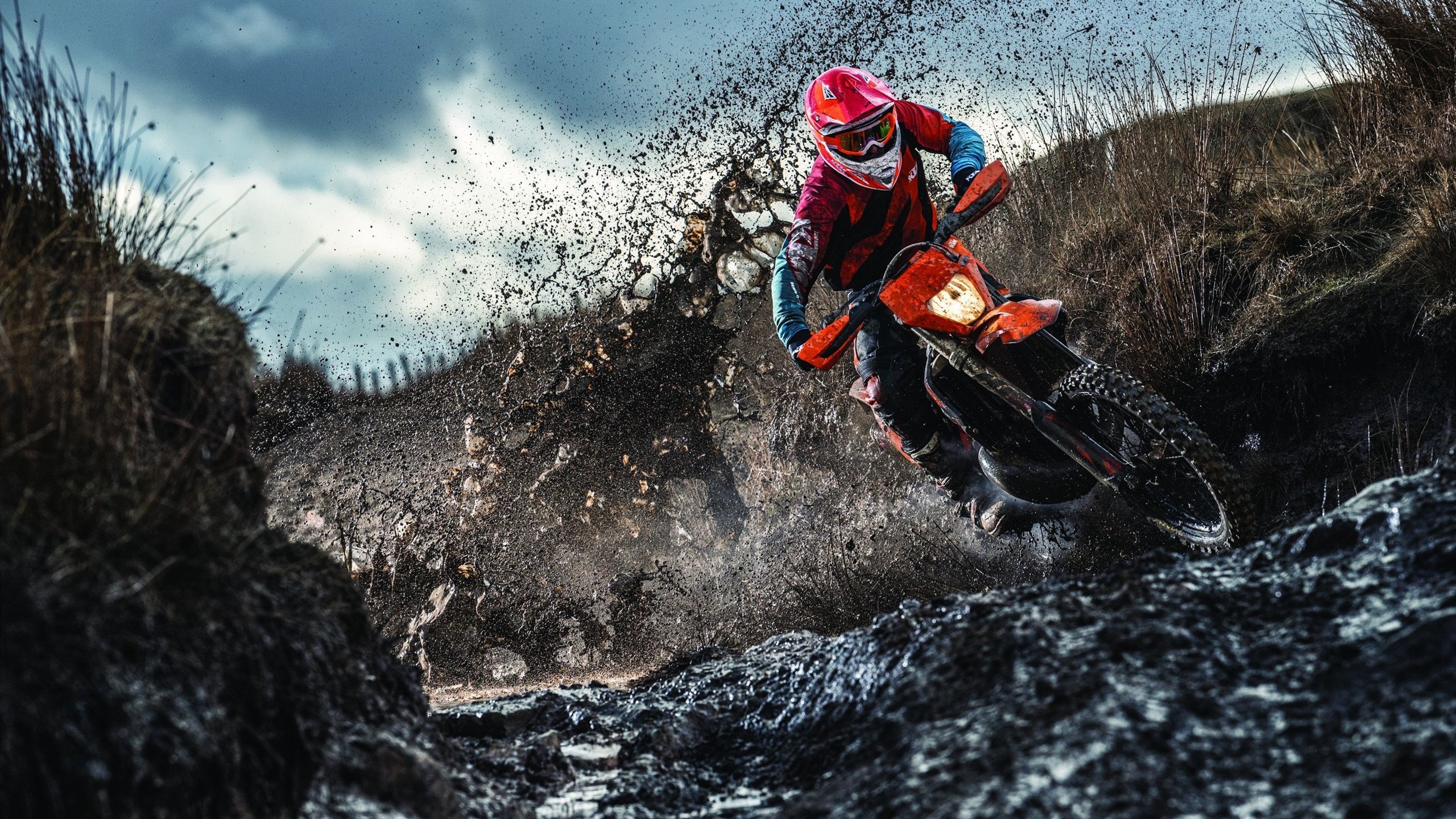 东契奇爆发,猛龙一波带走尼克斯,一场个人英雄主义与团队执行力的对决